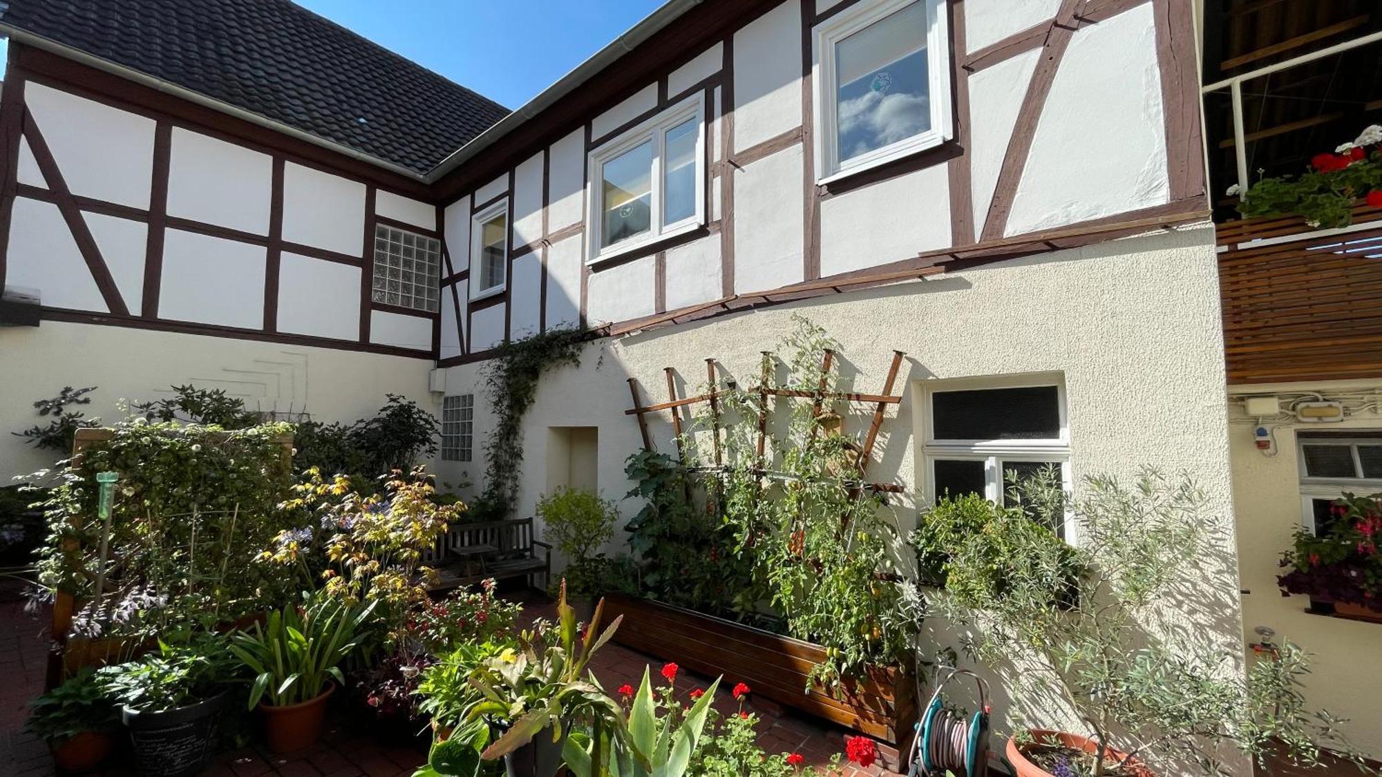 Ferienwohnung Am Schmetterlingssteig Trendelburg Ngoại thất bức ảnh